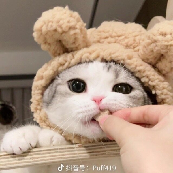 低成本DIY键盘（3）——MMD87